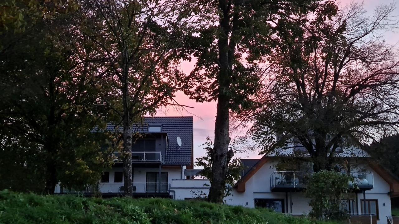 Appartement Nillhof à Fischerbach Extérieur photo